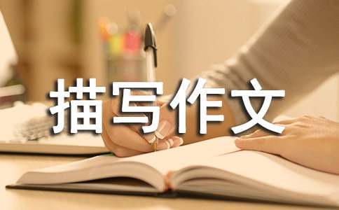 老年人打篮球时应如何进行适当的力量训练?_2